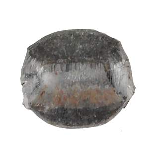 1 Pound Clout Standard Nails ACORN MANUFACTURING