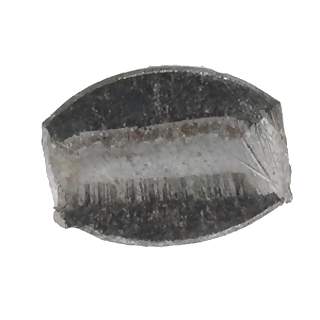 1 Pound Common Siding Nails ACORN MANUFACTURING