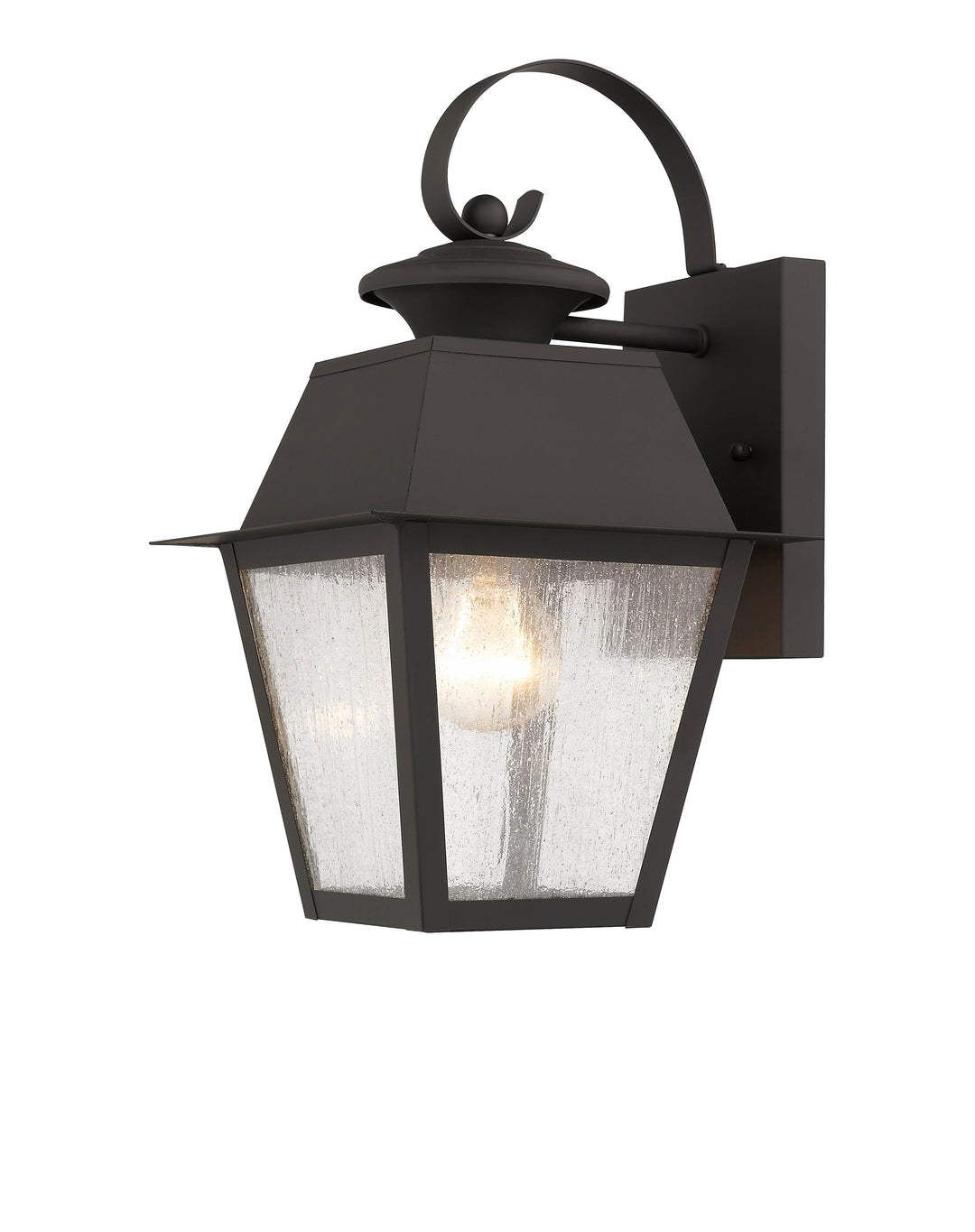 1 Light Bronze Outdoor Wall Lantern Livex