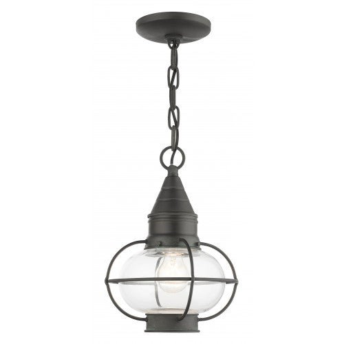 1 Light Charcoal Outdoor Pendant Lantern Livex