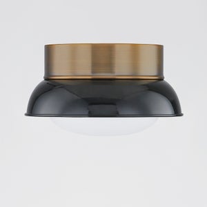 Arnie Flush Mount Troy Lighting