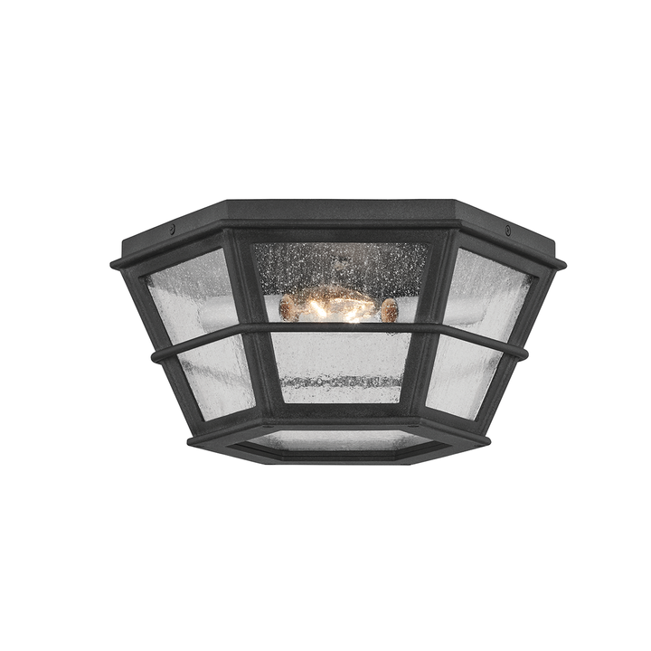 Lake County Flush Mount Troy Lighting