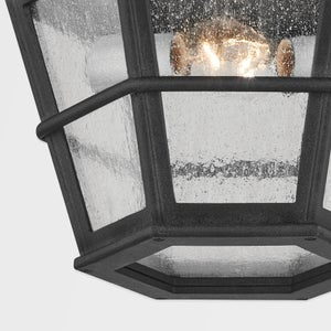 Lake County Flush Mount Troy Lighting