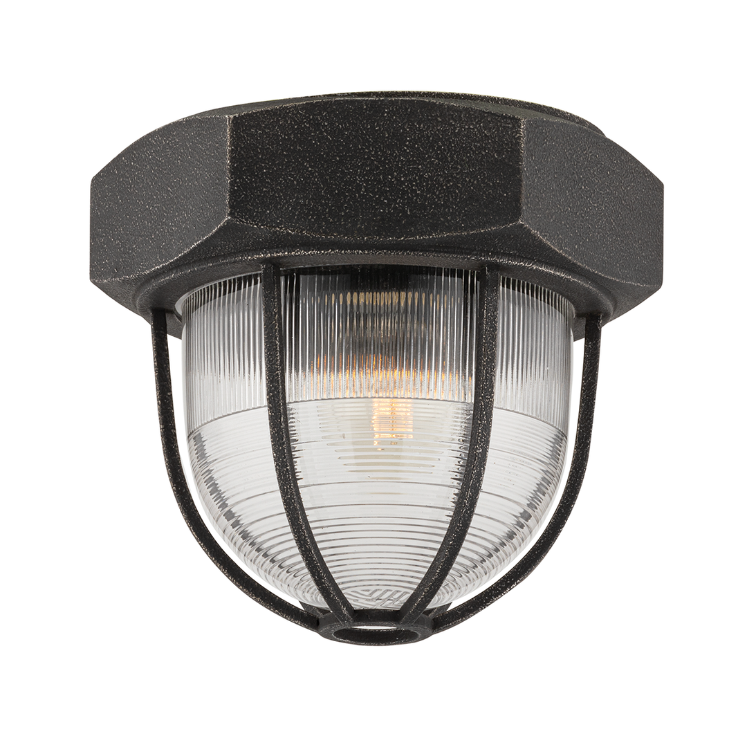 Acme Flush Mount Troy Lighting