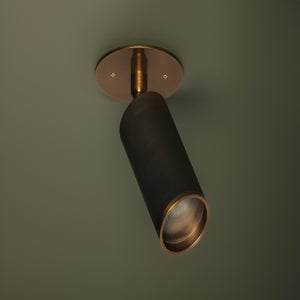 Caleb Flush Mount Troy Lighting