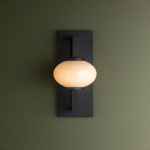 Darwin Wall Sconce Troy Lighting