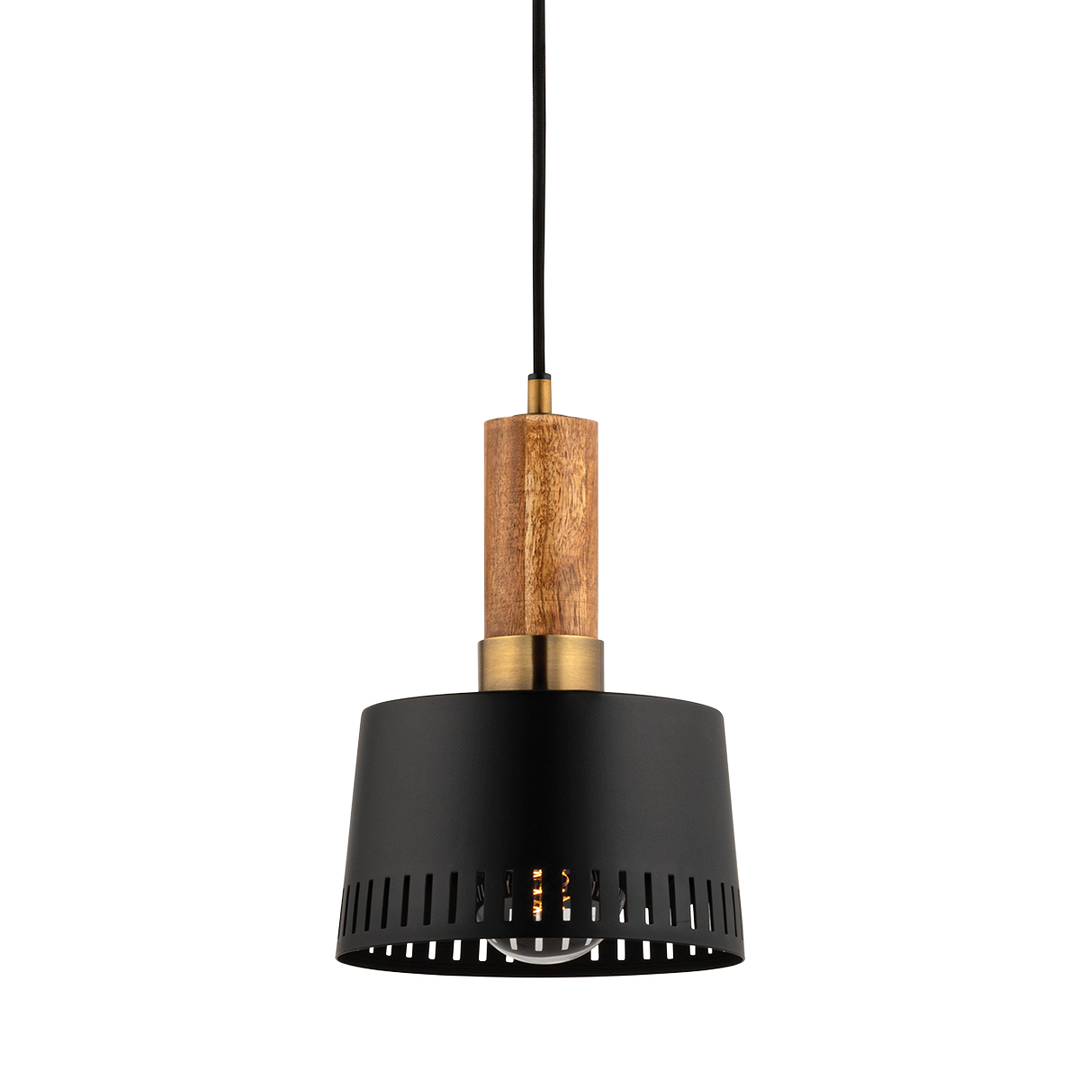 Memphis Pendant Troy Lighting