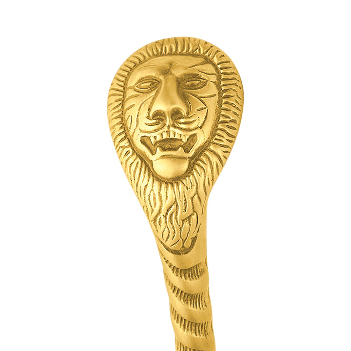 10 Inch Ornate Lion's Head Door Pull (Polished Brass Finish)