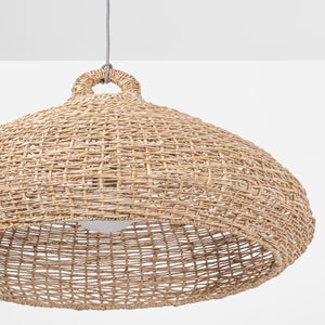 Lechlan Pendant Troy Lighting