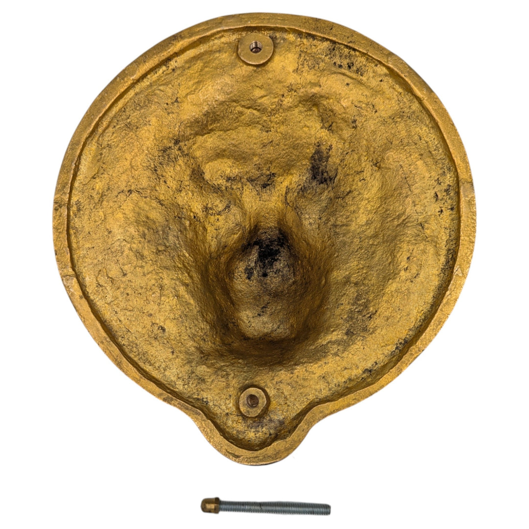 Ribbon & Reed 8 3/4 Inch Brass Lion Door Knocker (Several Finishes Available) COPPER MOUNTAIN HARDWARE