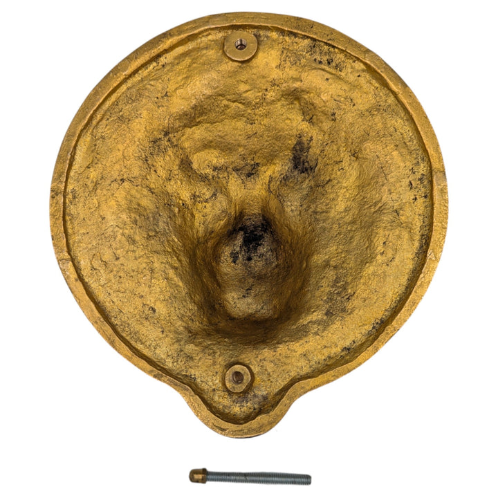 Ribbon & Reed 8 3/4 Inch Brass Lion Door Knocker (Several Finishes Available) COPPER MOUNTAIN HARDWARE