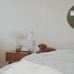 Willa Plug-In Sconce Mitzi